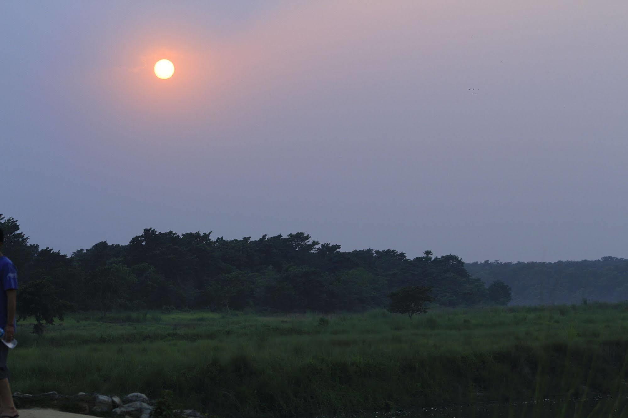 Chitwan Safari Camp & Lodge Sauraha Exterior photo