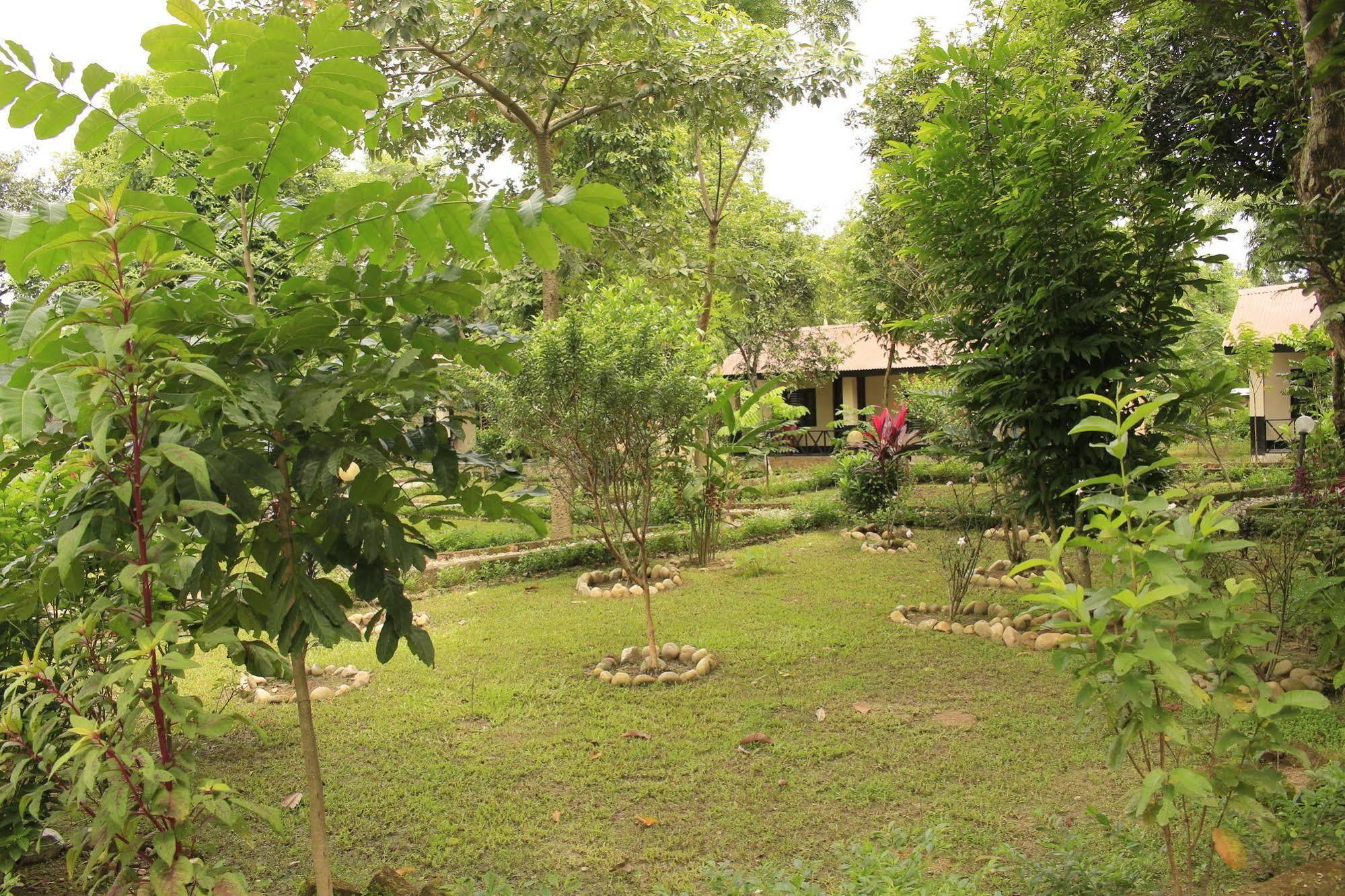 Chitwan Safari Camp & Lodge Sauraha Exterior photo