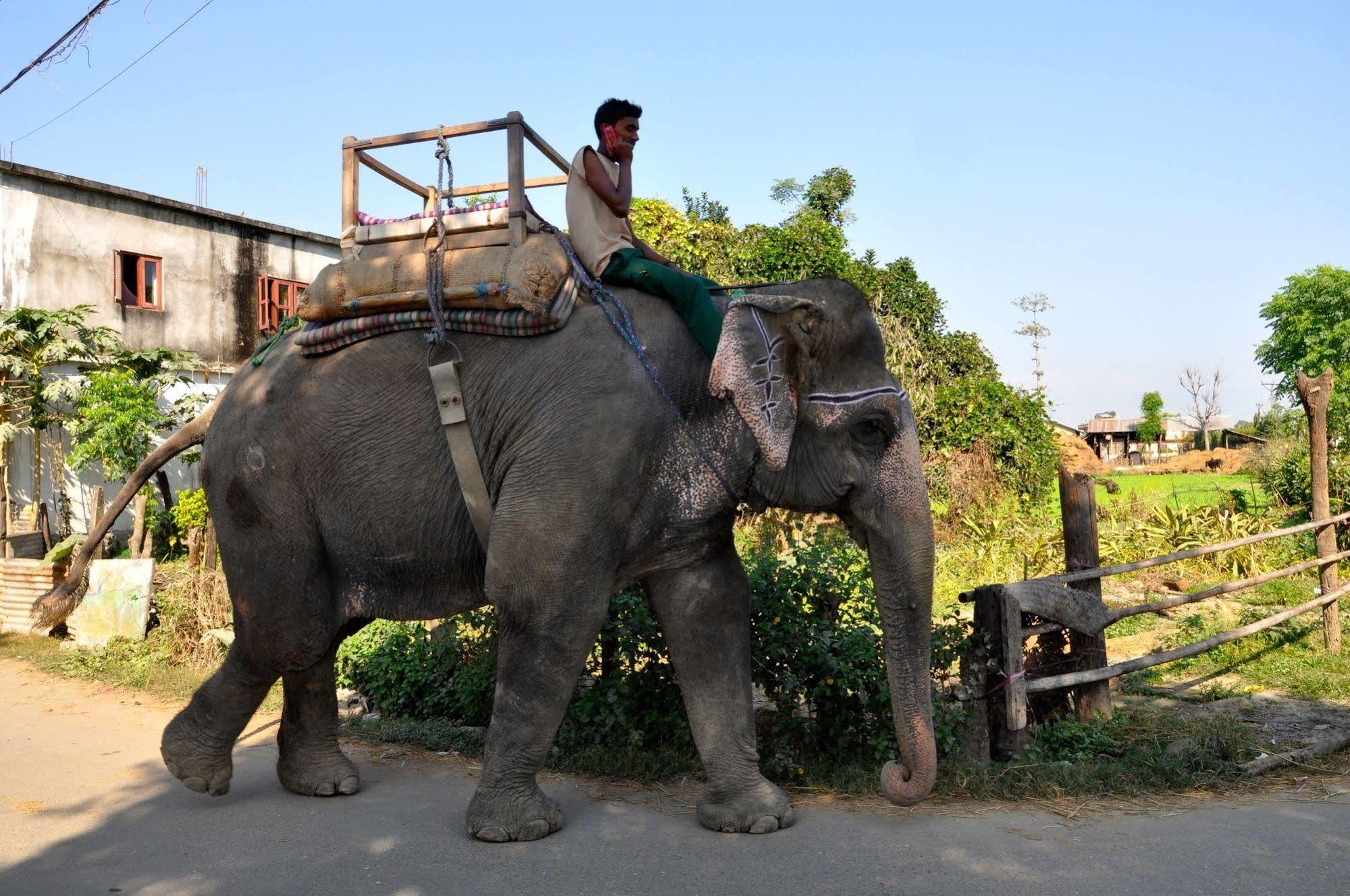 Chitwan Safari Camp & Lodge Sauraha Exterior photo